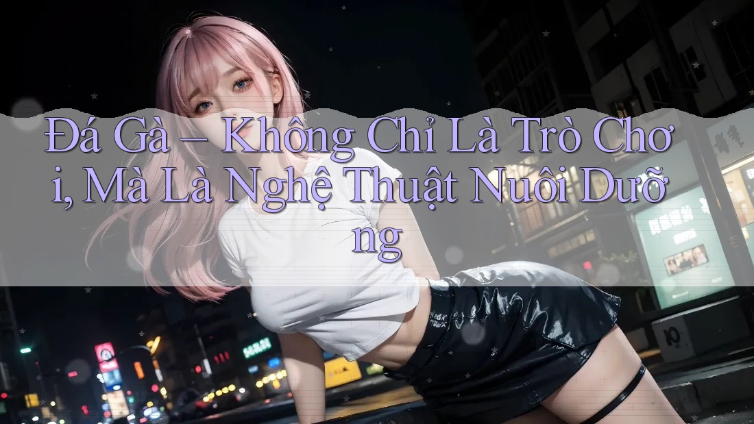 Đá Gà – Không Chỉ Là Trò Chơi, Mà Là Nghệ Thuật Nuôi Dưỡng
