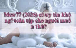 Mcw77 (2026) có uy tín không toàn tập cho người muốn thử