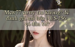 Mcw77 có uy tín không để đánh giá mã hóa AES 256 có đầu tư