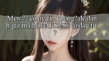 Mcw77 có uy tín không để đánh giá mã hóa AES 256 có đầu tư