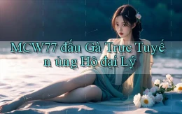 mcw77  đấu gà trực tuyến ủng hộ đại lý