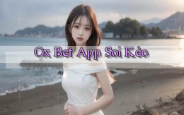 ox bet app soi kèo